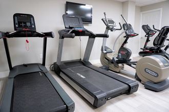 Cardio equipment in the fitness center - Photo Gallery 3