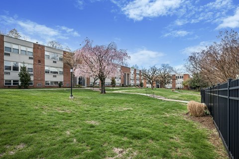 A grassy area in front of a building with a tree in bloom.