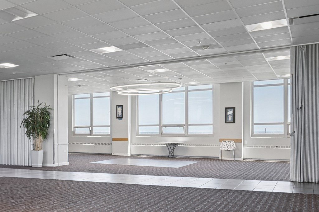 A white room with a bench and a potted plant.