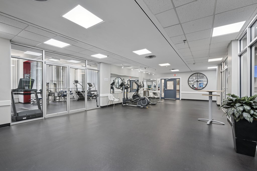 A gym with a variety of equipment and a potted plant.