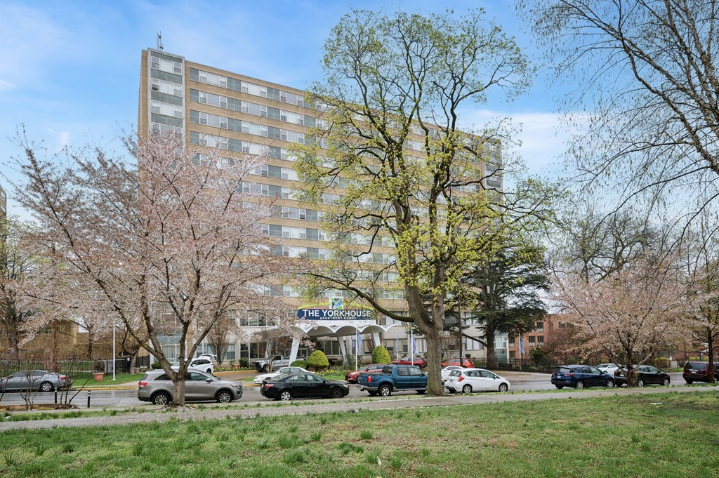 A large building with the words "The Views" on it is surrounded by trees and cars.
