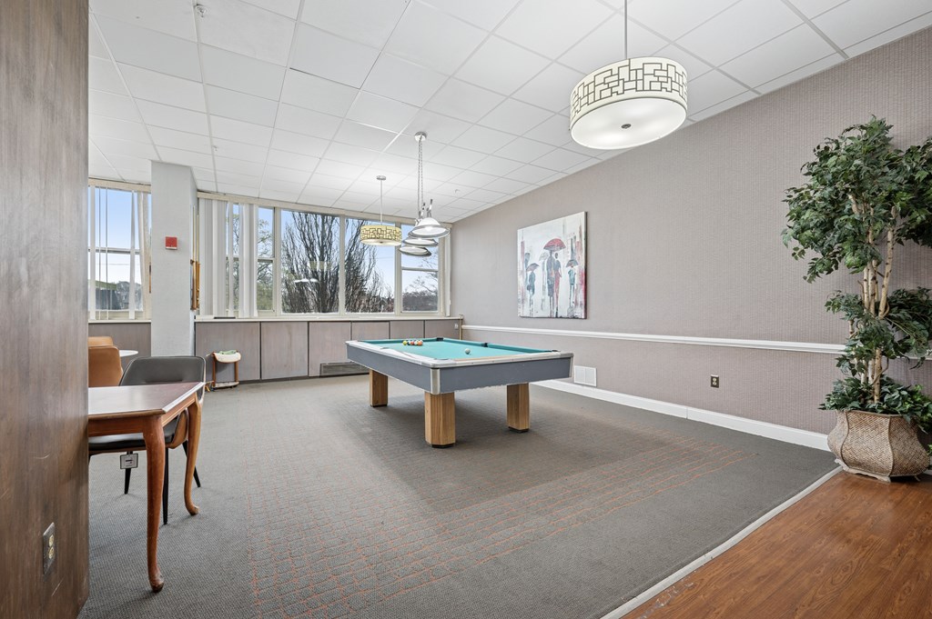 A room with a pool table and a plant.