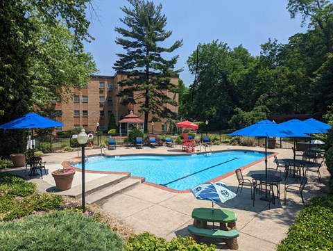 A pool surrounded by trees and chairs under umbrellas.