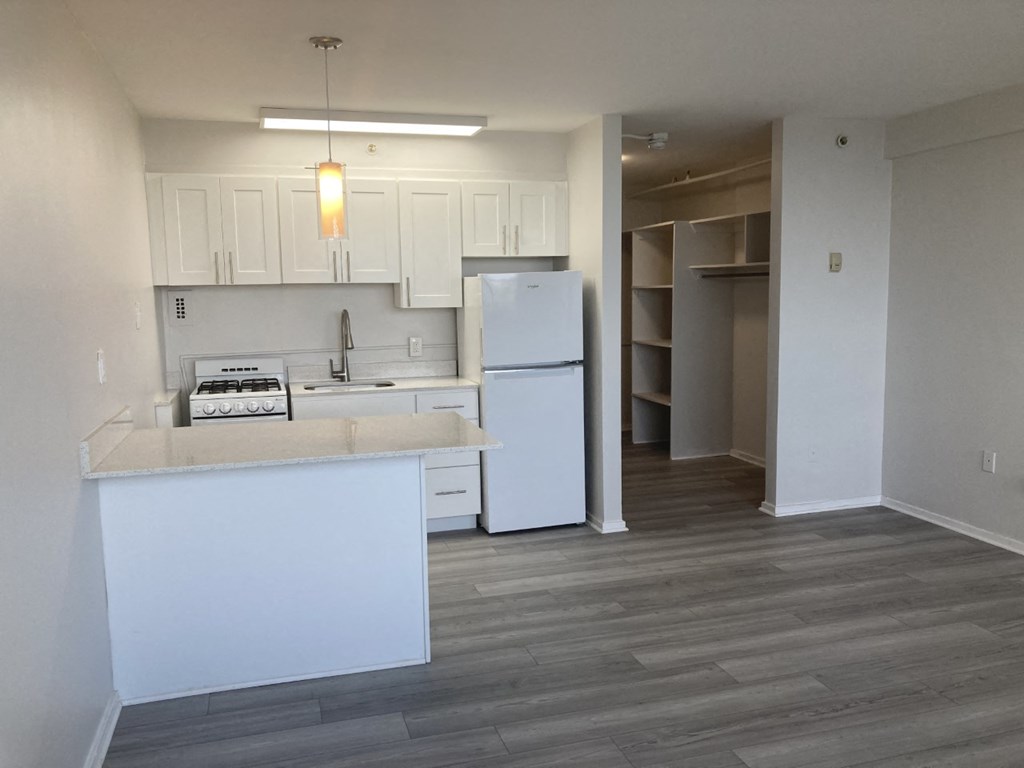 Kitchen and Plank flooring