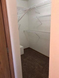 large walk in closet with shelves