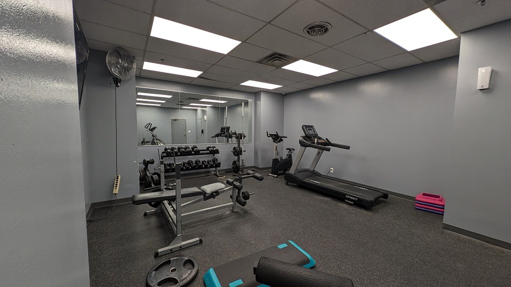 a gym with weights and other exercise equipment in a building