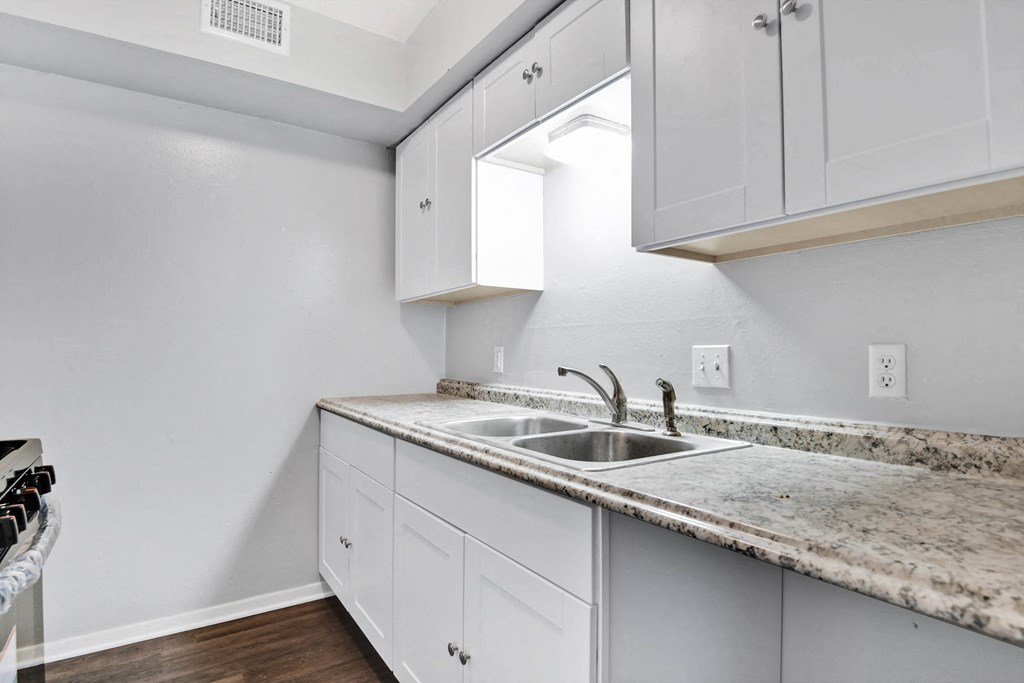 kitchen with cabinets and sink
