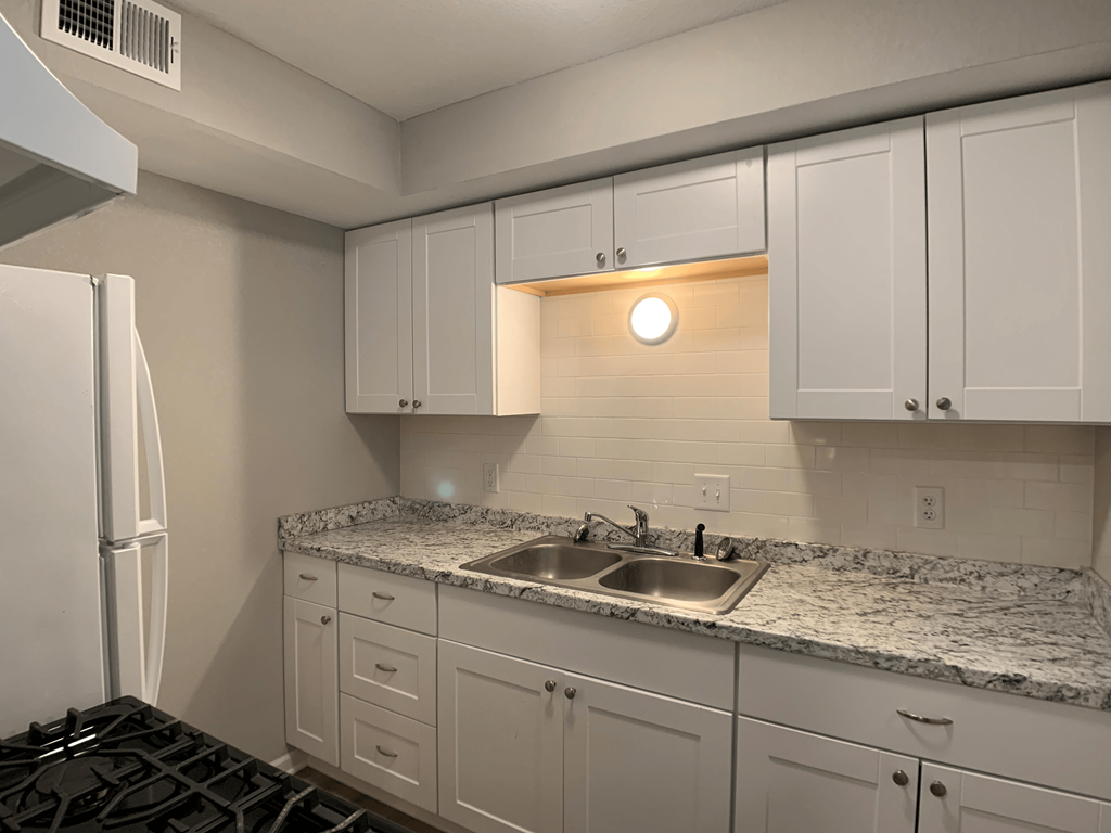 kitchen with cabinets