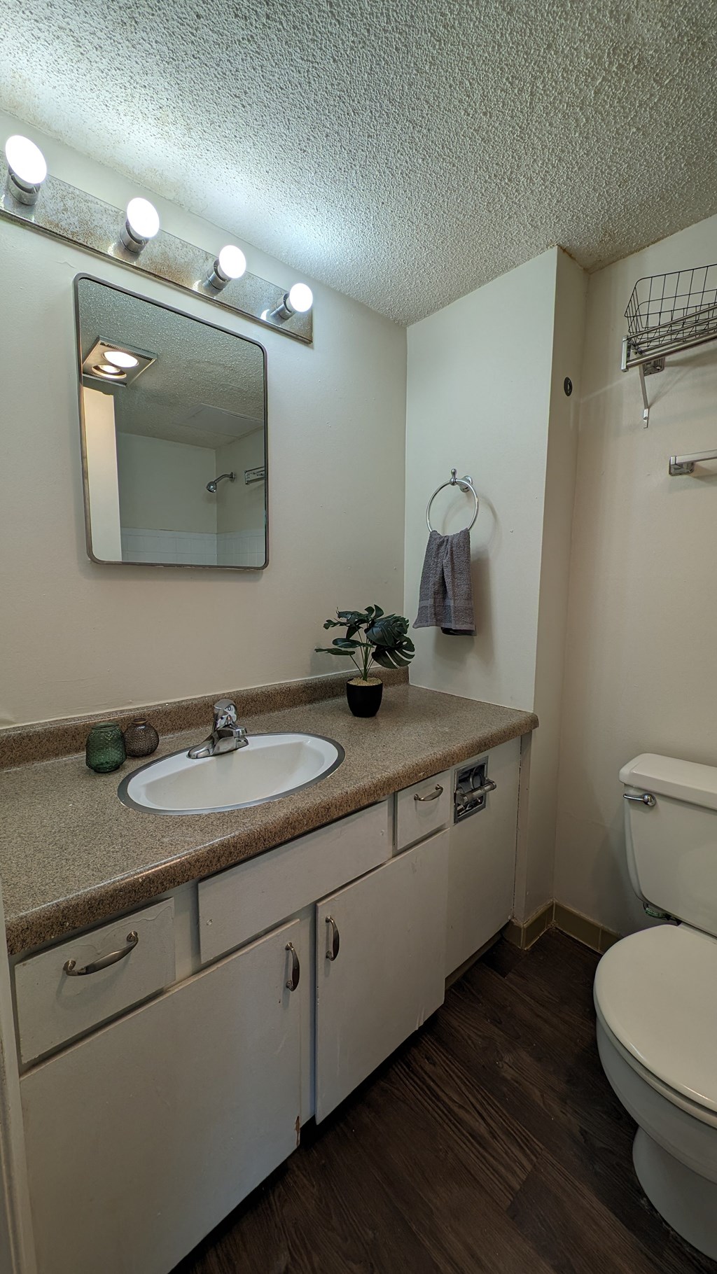 a bathroom with a sink and a mirror and a toilet