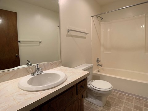 Bathroom with vanity, toilet, mirror, and bathtub