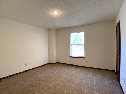 Large carpeted room with window
