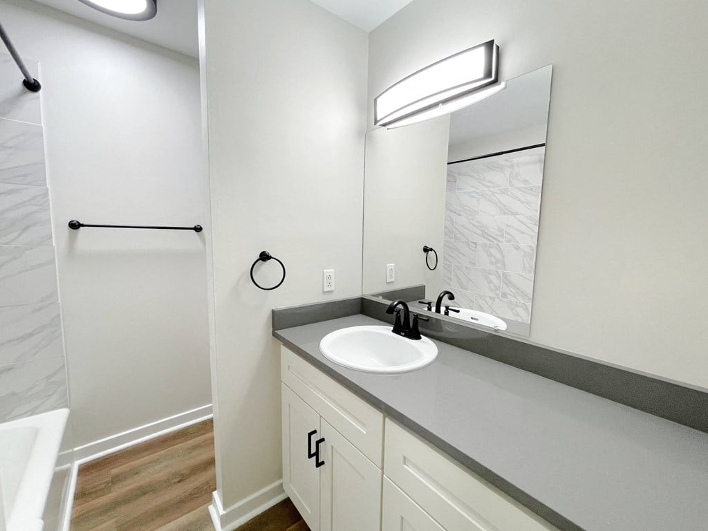 a bathroom with a sink and a mirror and a shower