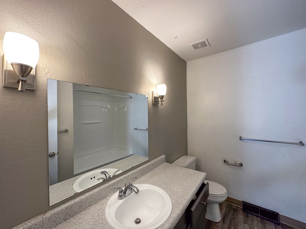 a bathroom with a sink and a mirror and a toilet