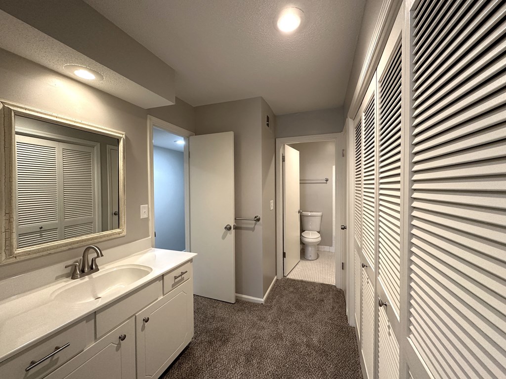 a bathroom with a sink and a toilet