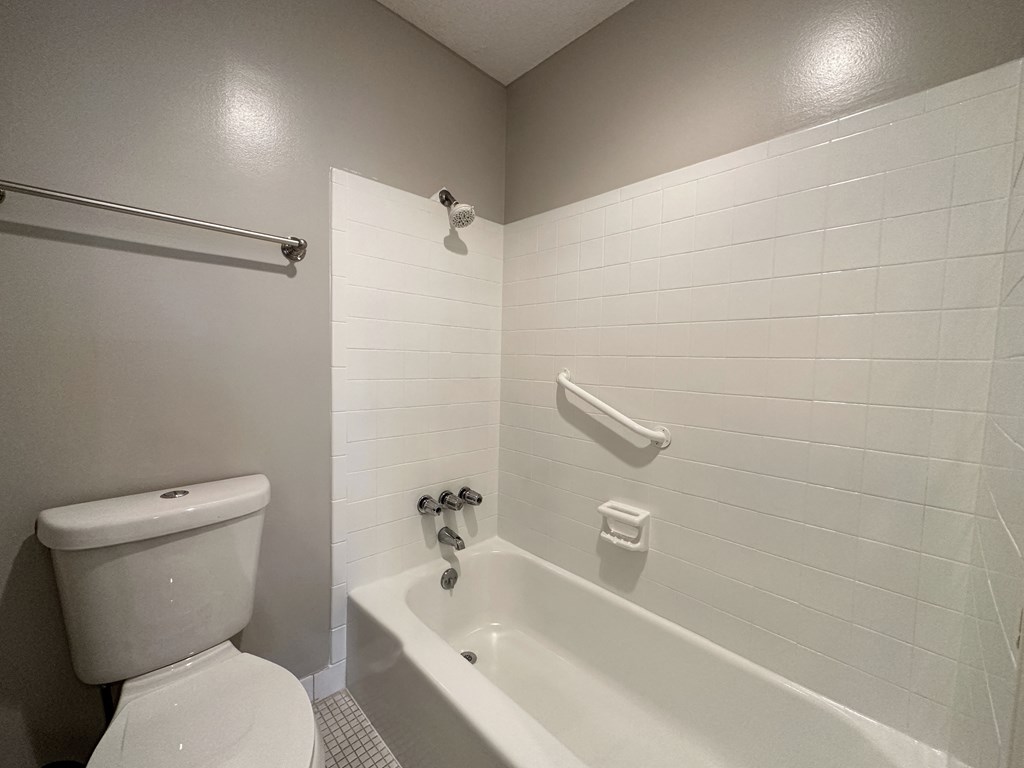 a bathroom with a toilet and a bath tub