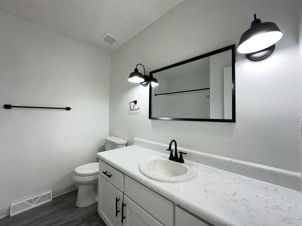 a bathroom with a sink and a toilet and a mirror