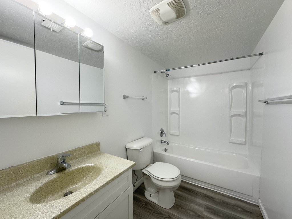 a bathroom with a toilet and a sink and a bath tub