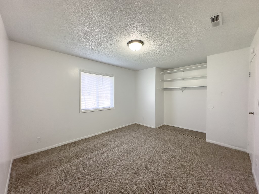 an empty living room with carpet and a window