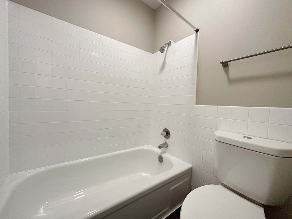 a bathroom with a toilet and a bathtub