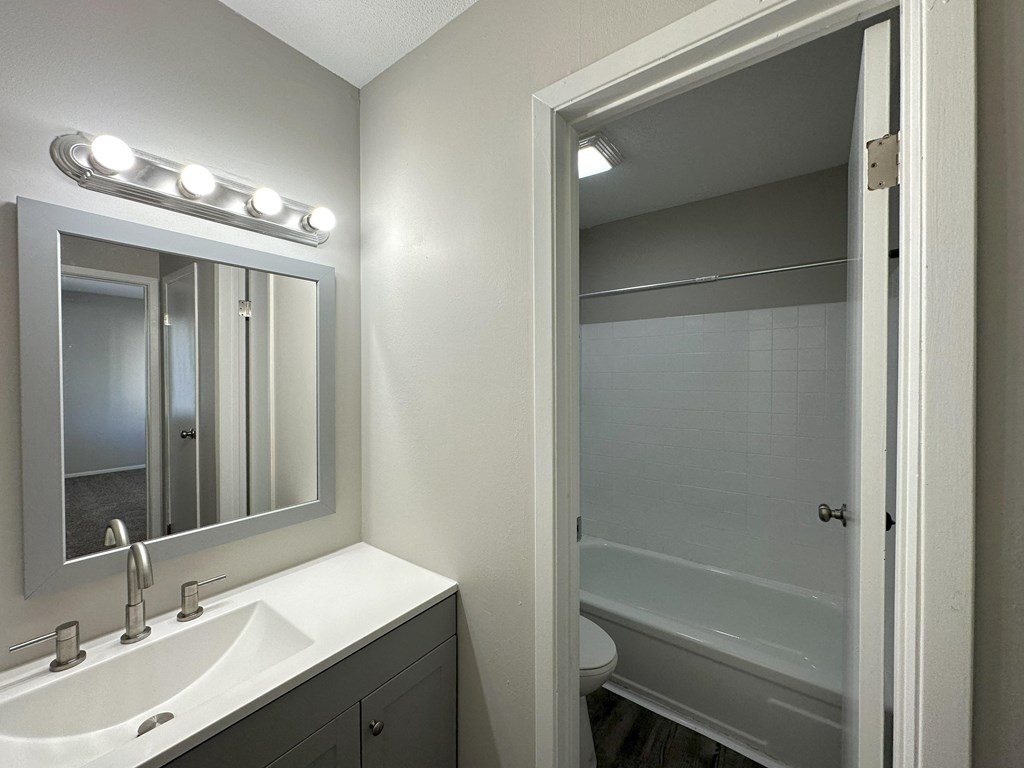 a bathroom with a sink and a bathtub