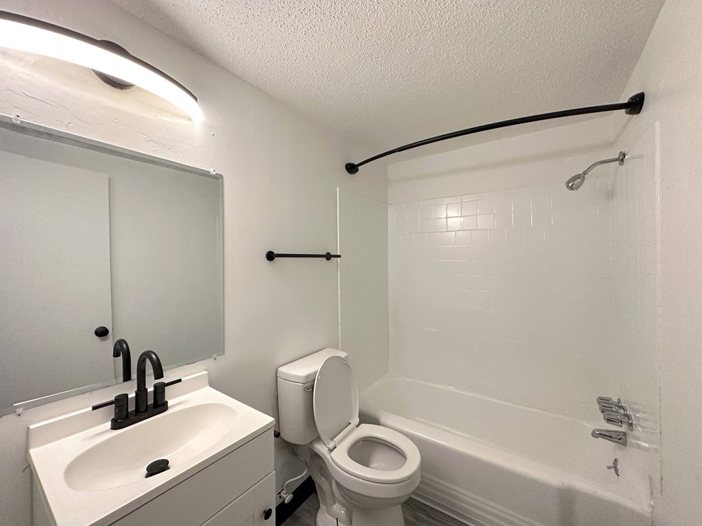 a bathroom with a sink toilet and bathtub