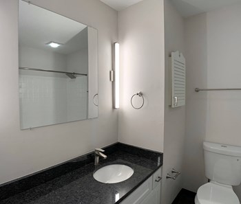 Large bathroom mirror in spacious bathroom - Photo Gallery 11