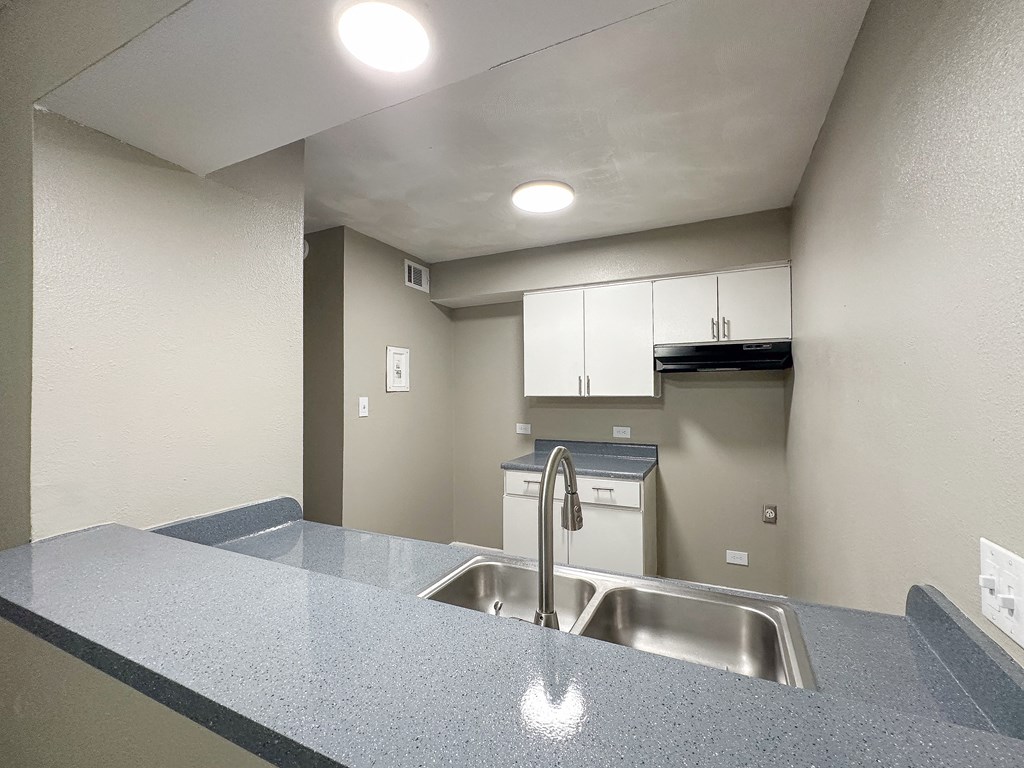 a kitchen with a sink and a counter top
