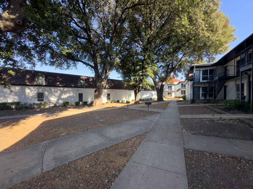 A tree-lined walkway leads to a white building.