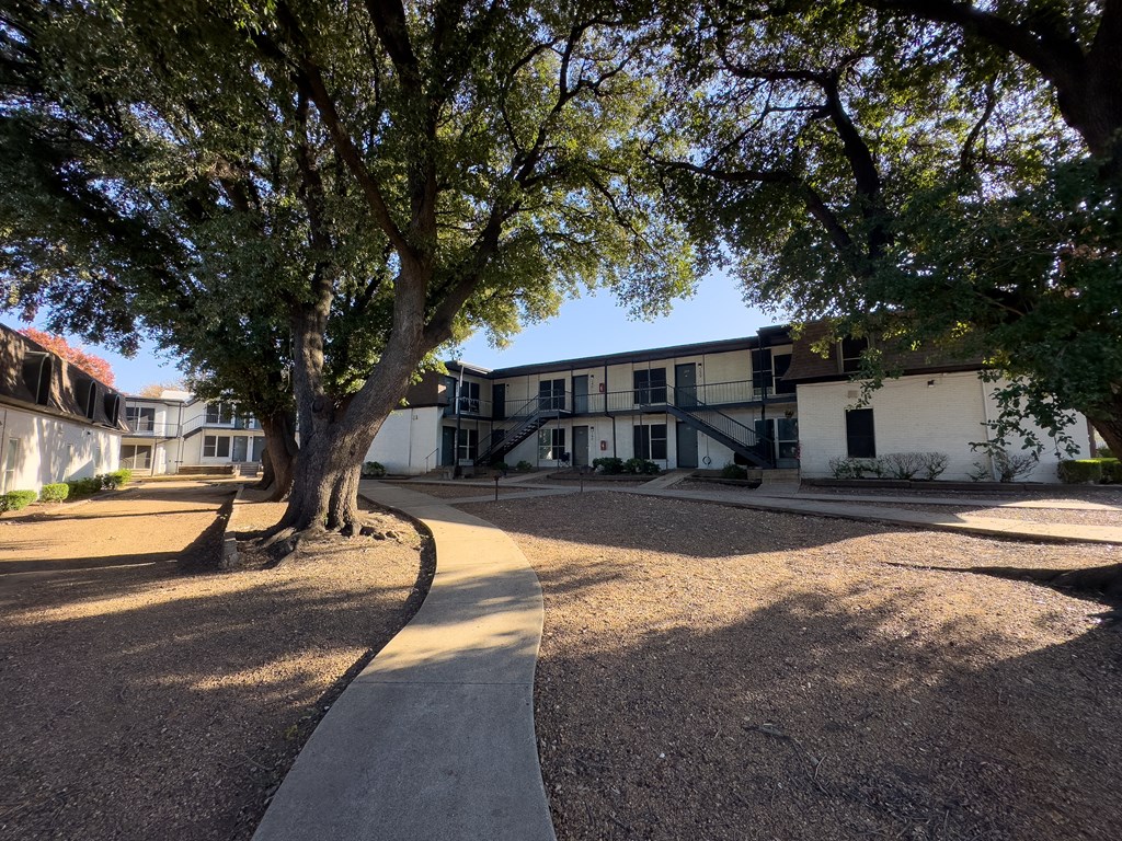 A tree stands in front of a white building with a gravel area in the foreground.