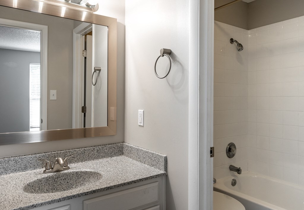 a bathroom with a sink and a bathtub