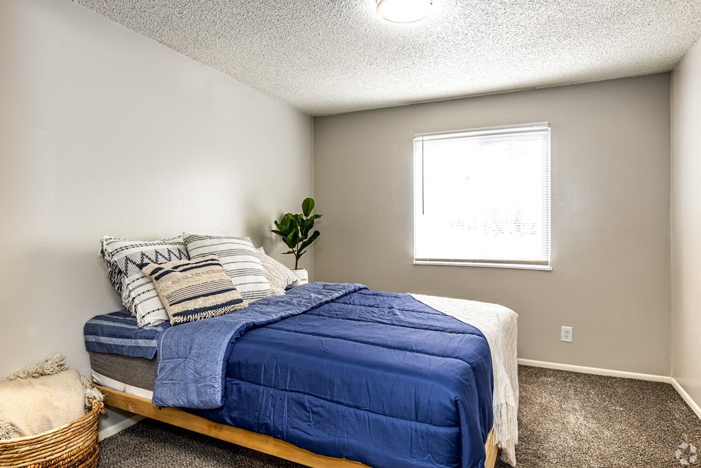 Photo of furnished bedroom with carpeted flooring and window facing the sun in Kansas City.