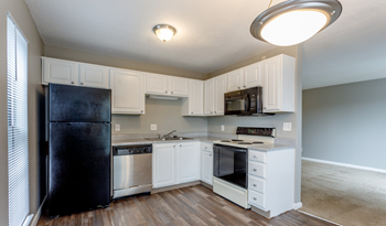 Fully equipped kitchen with appliances - Photo Gallery 5