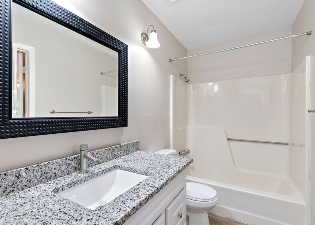 a bathroom with a sink and a mirror and a toilet
