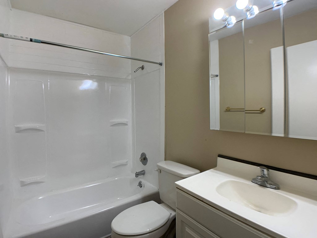bathroom with vanity, tub and toilet