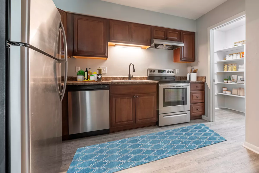 a kitchen with stainless steel appliances and a blue rug