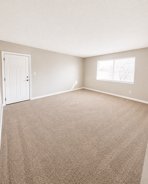 A room with a carpeted floor and a window showing trees outside.