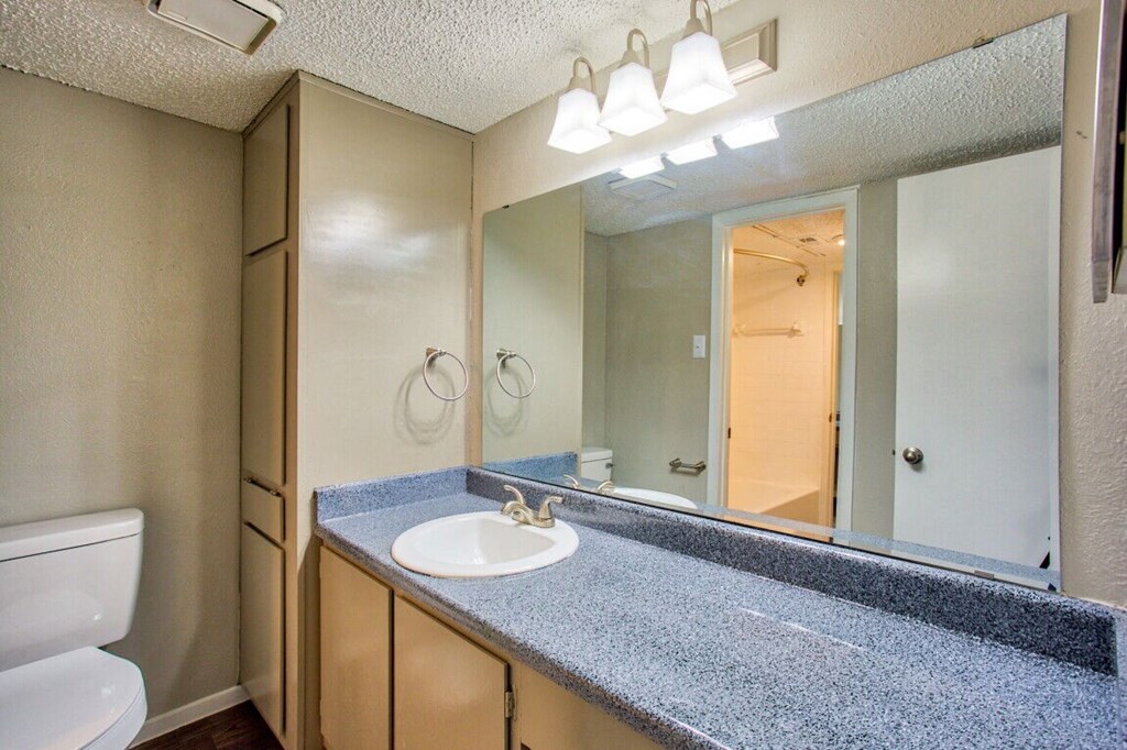 a bathroom with a sink and a mirror and a toilet