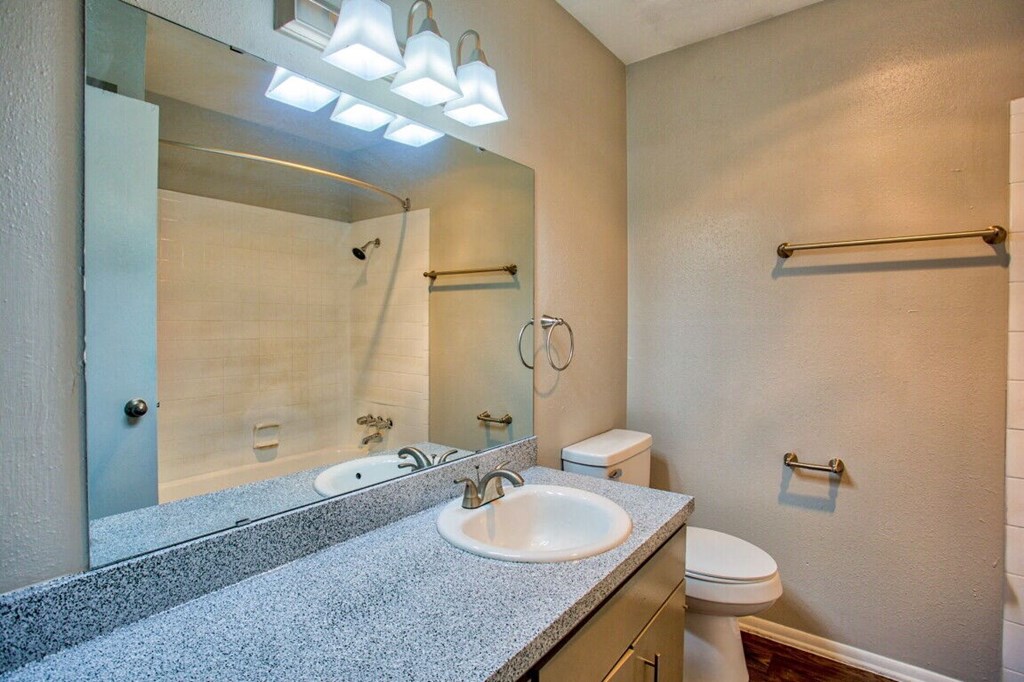 a bathroom with a sink and a mirror and a toilet