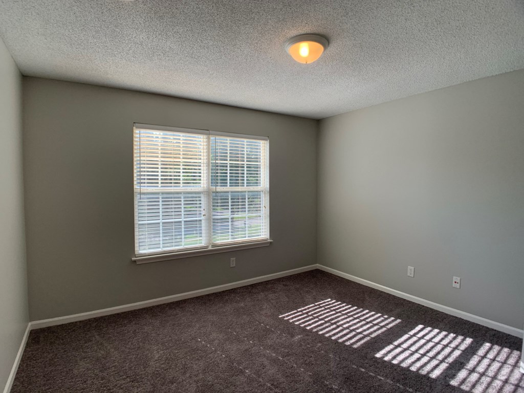 Large carpeted bedroom with window
