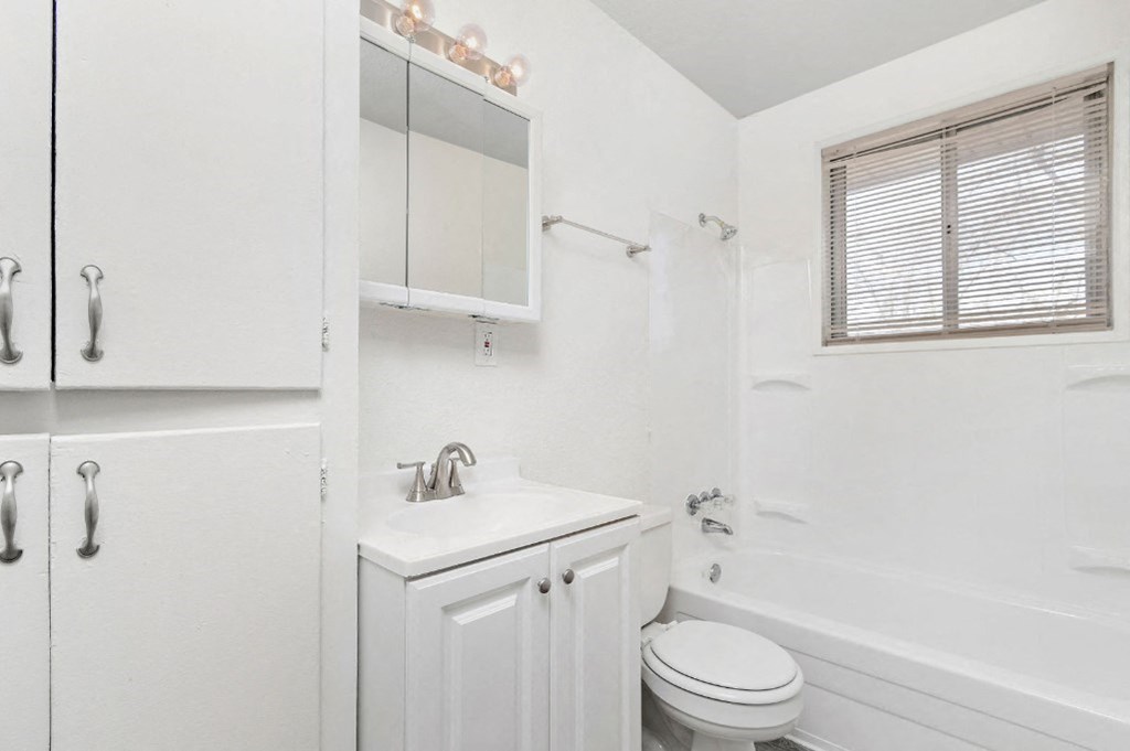 bathroom with vanity, mirror, toilet and tub