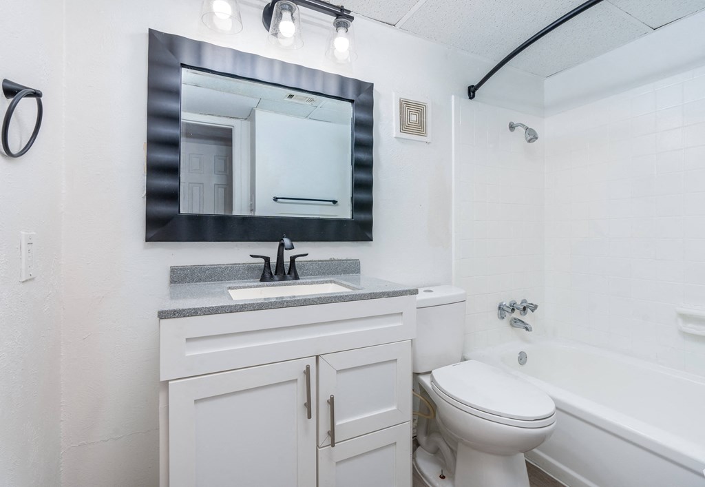 a bathroom with a sink and a toilet and a mirror