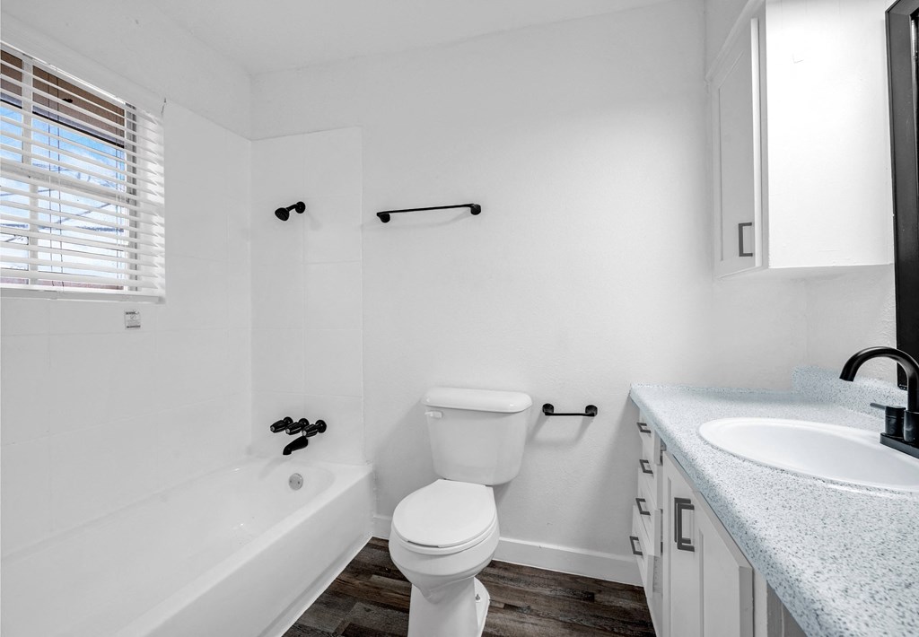 a bathroom with a toilet and a tub and a sink