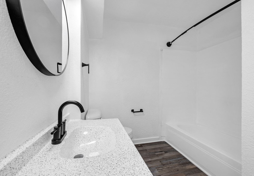 a bathroom with a sink and a shower and a mirror