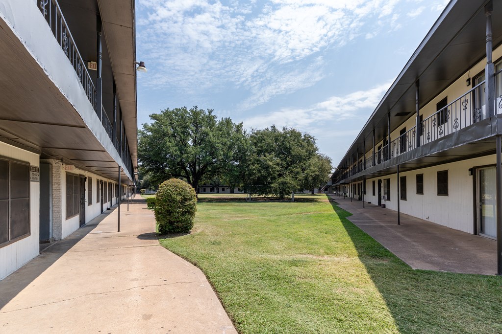 A tree is located in the middle of a grassy area between two buildings.