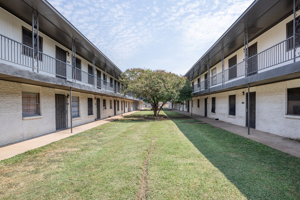 A tree is in the middle of a grassy courtyard between two buildings.