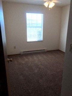 Carpeted room with window