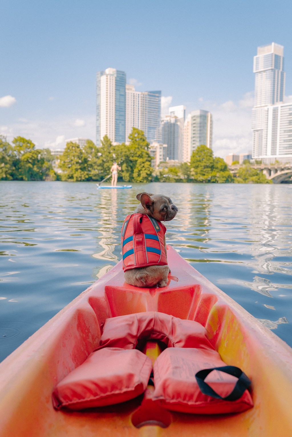 a dog wearing a life jacket sitting in a kayak on a lake