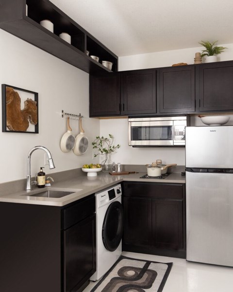 A modern kitchen with black cabinets and stainless steel appliances.