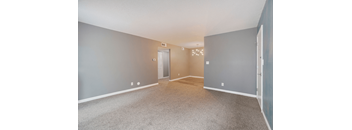 A room with grey walls and a carpeted floor.
