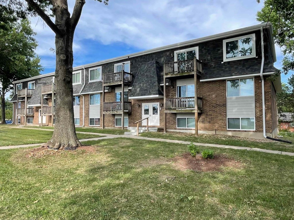 A large tree is in front of apartment buildings.